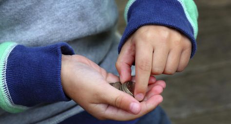 ¿Cómo enseñarles a tus hijos a a ahorrar?